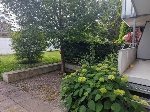 Nachmieter ab 1. Juli für eine 3-Zimmerwohnung gesucht 5