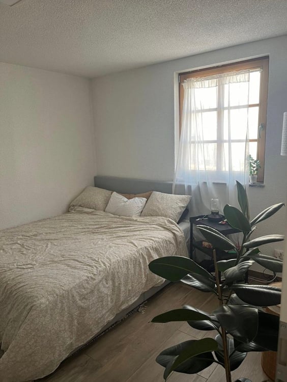 Helle 3-Zimmer-Wohnung an der Hauptstrasse in Bad Zurzach – sofort verfügbar! 3