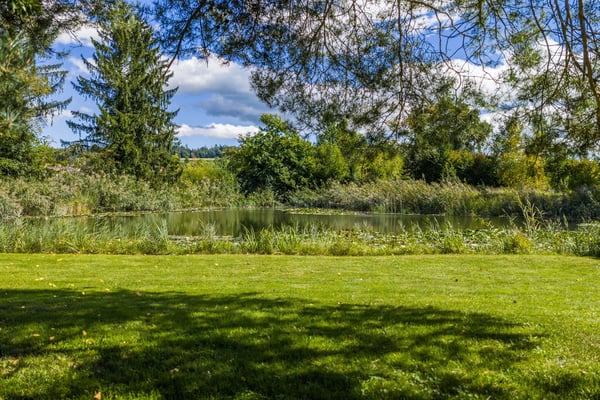 Zwischen Zug und Zürich: 10'000 m² Naturparadies für Freigeister und Lebenskünstler 4