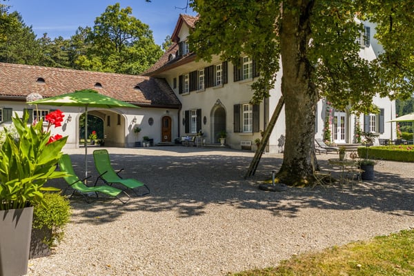 Prachtvolle Altbau-Villa mit 18 Zimmern und weitläufigem Garten in Winterthur 4