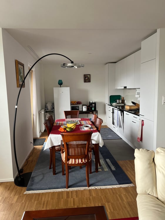 Helle 3.5-Zimmer-Terrassenwohnung im 15. OG mit Stadtblick in Basel 2