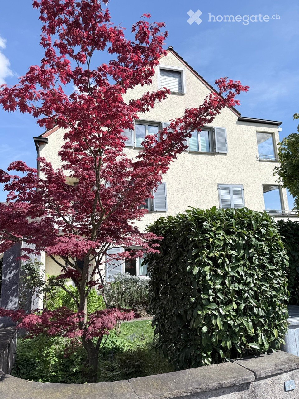 Two-story house with light-colored exterior, multiple windows with shutters, and a well-maintained garden featuring a red maple tree and green shrubs.