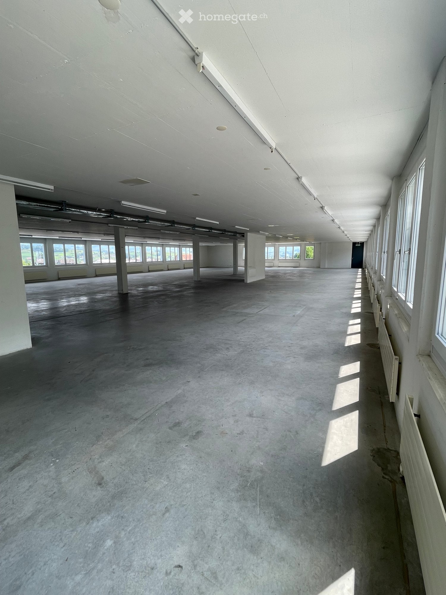 Empty warehouse with concrete floor, fluorescent ceiling lights, white walls, multiple large windows, columns and pillars, outside views of greenery.