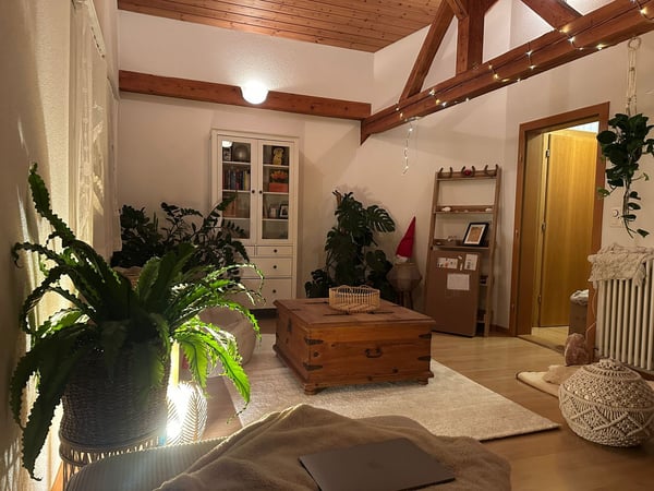 Mehrfamilienhaus mit Gewerbeanteil und Garten an ruhiger Lage in Wädenswil 26