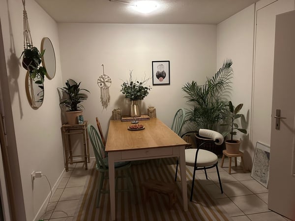 Mehrfamilienhaus mit Gewerbeanteil und Garten an ruhiger Lage in Wädenswil 28