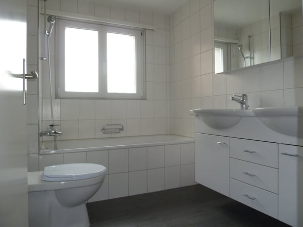 Mehrfamilienhaus mit Gewerbeanteil und Garten an ruhiger Lage in Wädenswil 22
