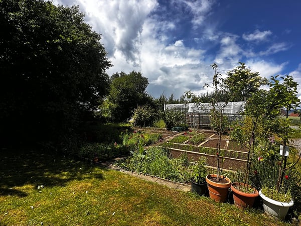 Mehrfamilienhaus mit Gewerbeanteil und Garten an ruhiger Lage in Wädenswil 9
