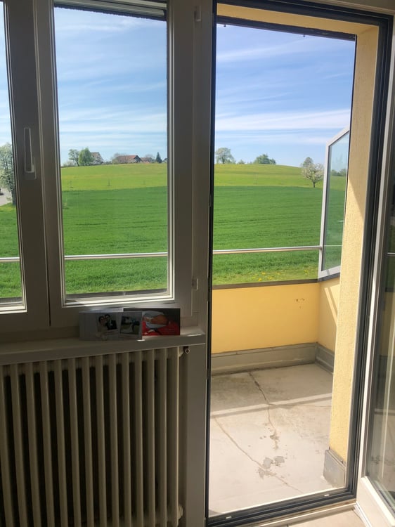Mehrfamilienhaus mit Gewerbeanteil und Garten an ruhiger Lage in Wädenswil 33