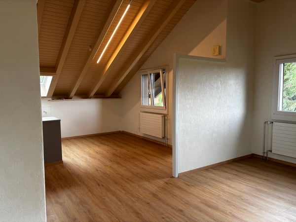 Loft-Charakter mit traumhafter Aussicht – frisch sanierte 1.5-Zimmer-Dachwohnung mit eigenem Eingang 3