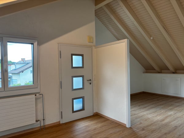 Loft-Charakter mit traumhafter Aussicht – frisch sanierte 1.5-Zimmer-Dachwohnung mit eigenem Eingang 5
