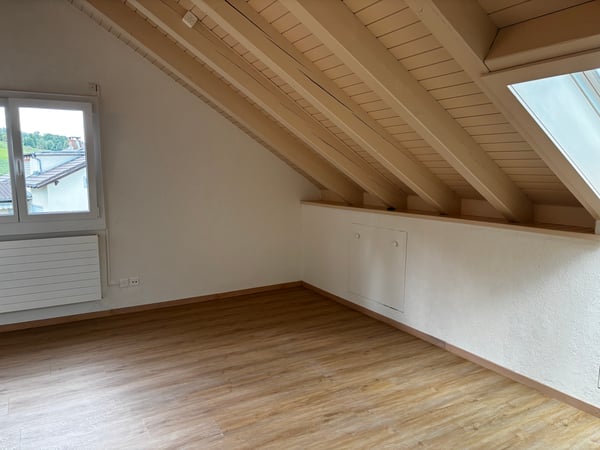 Loft-Charakter mit traumhafter Aussicht – frisch sanierte 1.5-Zimmer-Dachwohnung mit eigenem Eingang 6