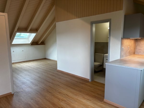 Loft-Charakter mit traumhafter Aussicht – frisch sanierte 1.5-Zimmer-Dachwohnung mit eigenem Eingang 7