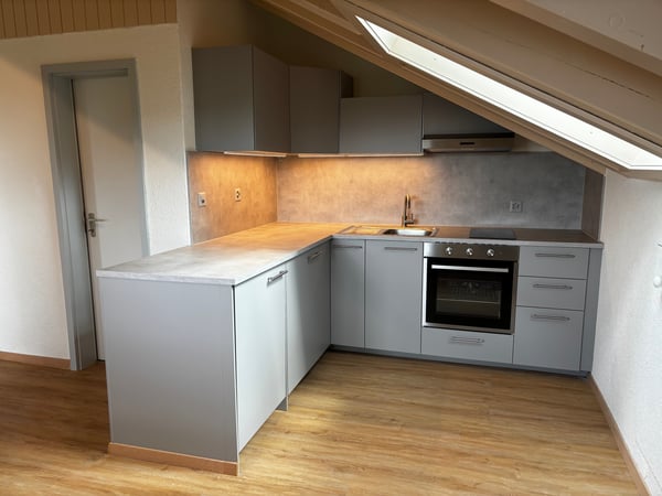 Loft-Charakter mit traumhafter Aussicht – frisch sanierte 1.5-Zimmer-Dachwohnung mit eigenem Eingang 4