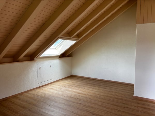 Loft-Charakter mit traumhafter Aussicht – frisch sanierte 1.5-Zimmer-Dachwohnung mit eigenem Eingang 2