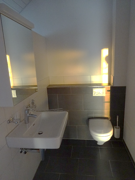Helle 3.5-Zimmer-Dachwohnung mit Balkon in Altikon 10
