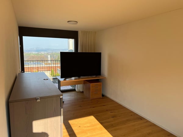 Exklusives Doppeleinfamilienhaus in Langnau am Albis 18