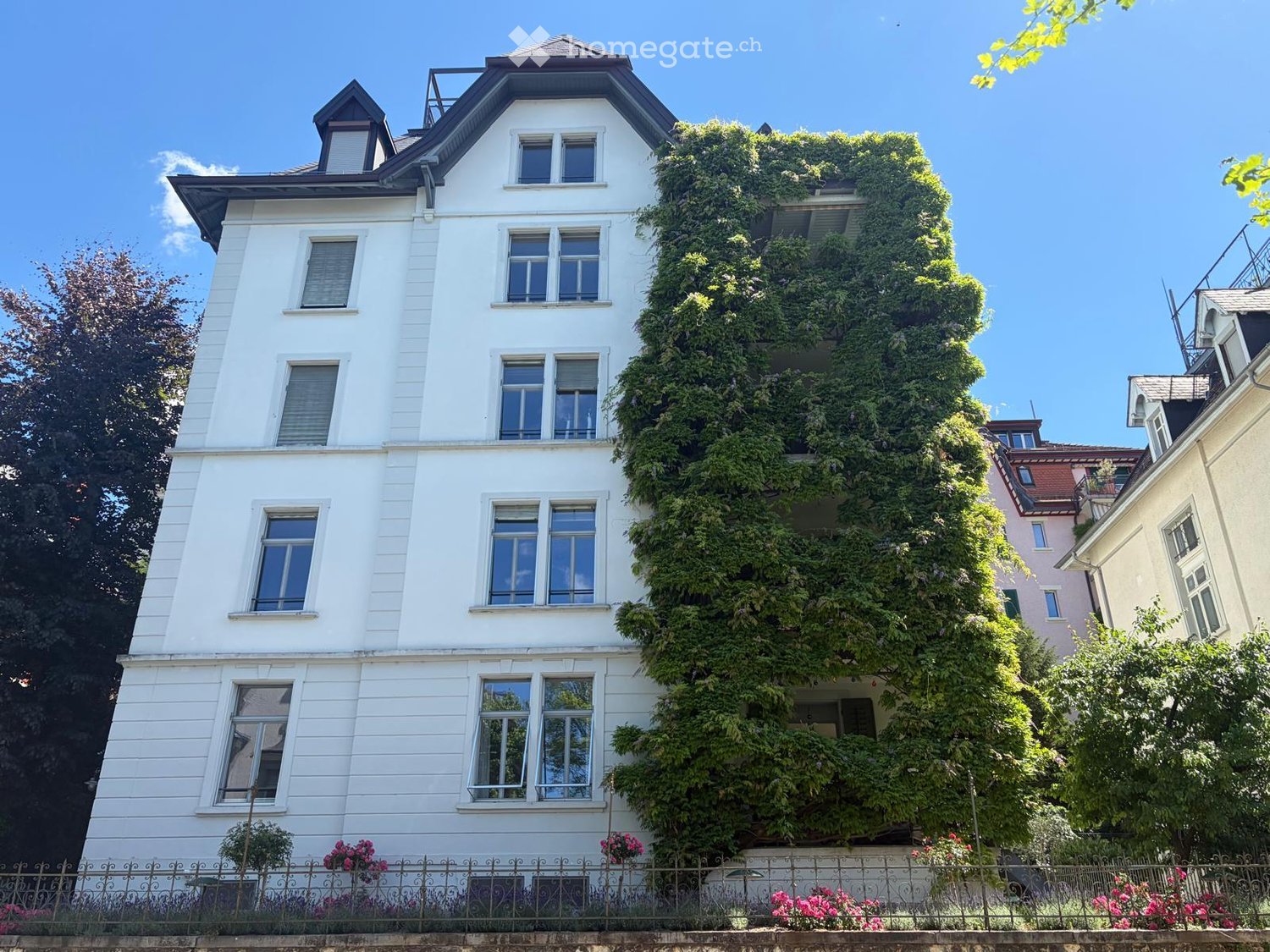 A white multi-story house with ivy-covered walls, multiple windows, and a decorative metal fence with flowering plants in front.
