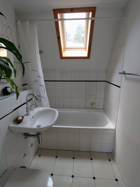 3-Zimmer-Dachwohnung mit traumhafter Aussicht 4