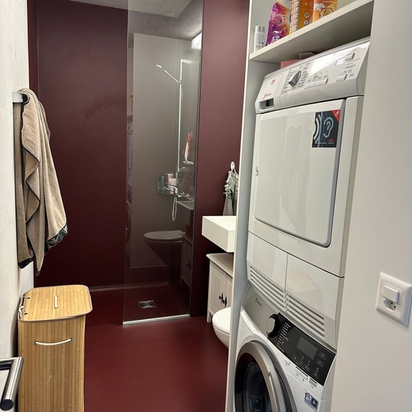 Untermieter gesucht: Geräumige 1-Zimmer-Loft-Wohnung mit grossem Balkon beim Aarau Bhf 5