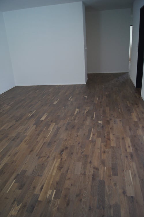 4.5-Zimmer-Wohnung mit Balkon in ruhiger Lage – Brunnen SZ 4