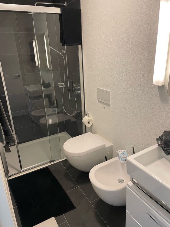 Exklusive Gartenwohnung in Seenähe, Einsiedeln 10