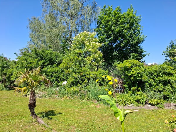 Einfamilienhaus (Liebhaberobjekt) an ruhiger Lage 2