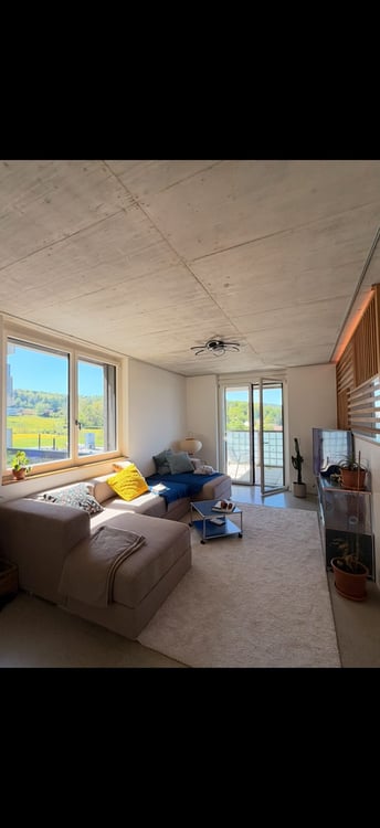 Loft in Bahnhof Stettbach 4