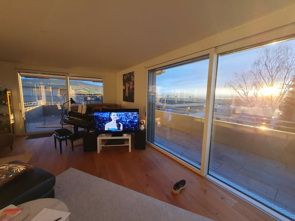 Attika Wohnung in Baar - 200 qm Terasse mit Berg- und Seeblick - Burgmatt 5
