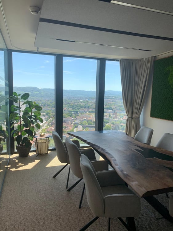 Büro mit Ausblick aus dem 30. Stock über Basel 6