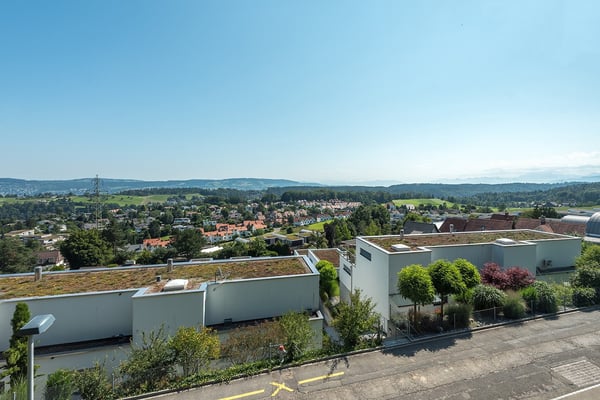 Neubau Doppeleinfamilienhaus in Langnau am Albis 2