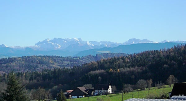 Neubau Doppeleinfamilienhaus in Langnau am Albis 6