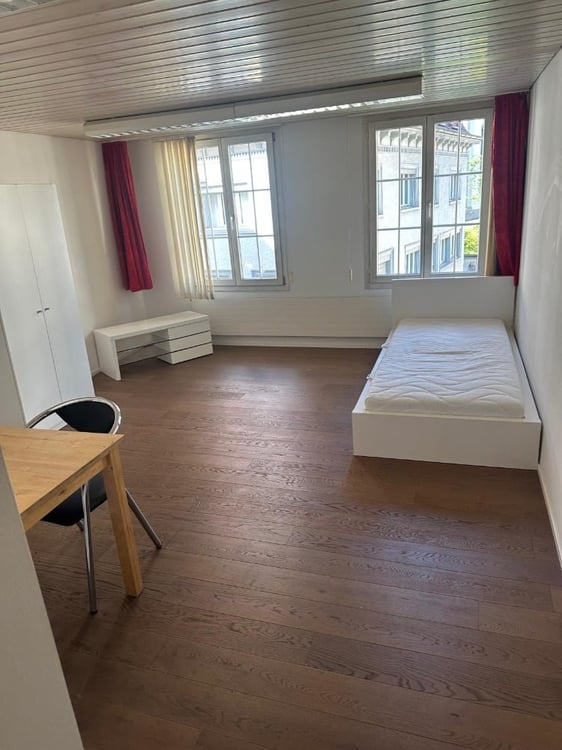 Gemütliches 1-Zimmer-Apartment in Altstätten SG – ab sofort verfügbar 6