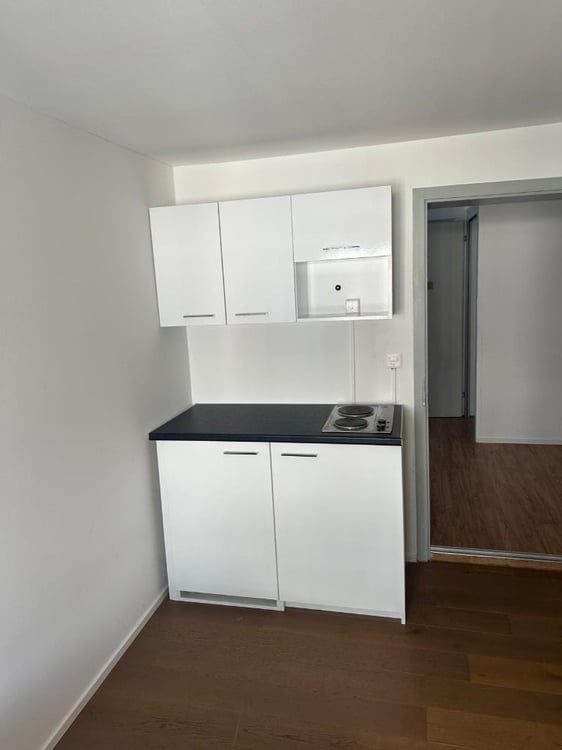Gemütliches 1-Zimmer-Apartment in Altstätten SG – ab sofort verfügbar 3