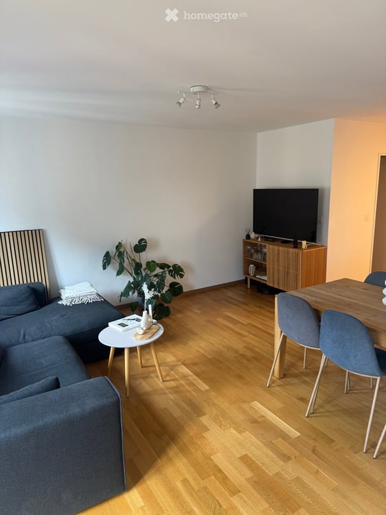 Gemütliches 1-Zimmer-Apartment mit Balkon und schöner Aussicht an der Kanonengasse, Zürich 3