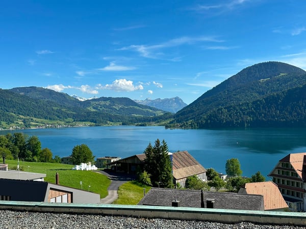 Luxuriöse 3.5 Zimmer-Attika-Neubauwohnung mit Panorama See- und Alpensicht 1