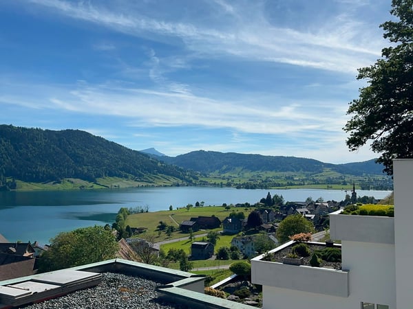 Luxuriöse 3.5 Zimmer-Attika-Neubauwohnung mit Panorama See- und Alpensicht 3
