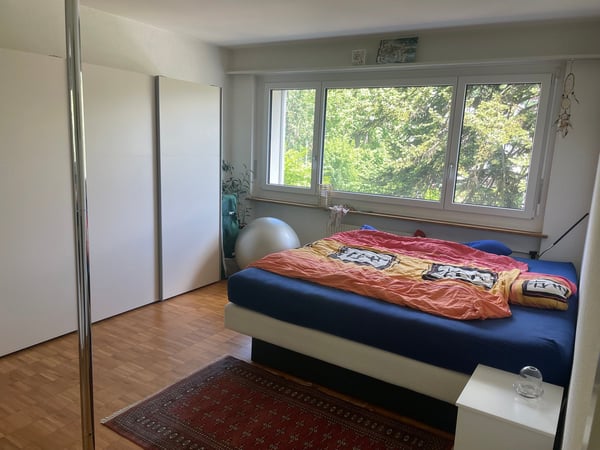 1.5-Zimmer-Wohnung mit Blick auf die Scherzligschleuse 4