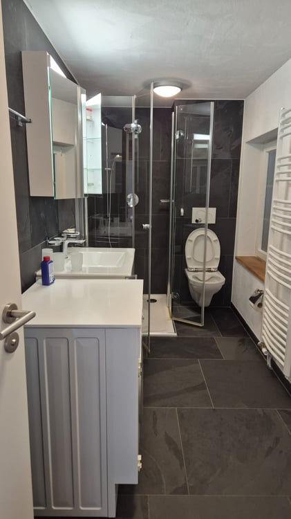 Möblierte 2.5-Zimmer-Wohnung an zentraler Lage in Ebikon 8