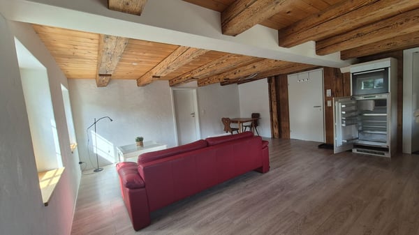 Möblierte 2.5-Zimmer-Wohnung an zentraler Lage in Ebikon 5