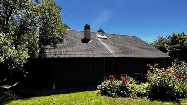 Einfamilienhaus in Binningen - Oase der Ruhe 18