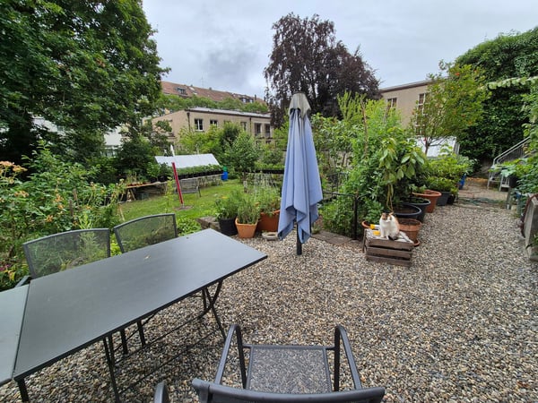 Grosser Bio Garten mit 2.5 Zimmer Wohnung und zusätzlichem Büro mitten in Basel 2
