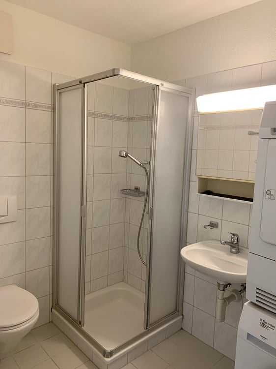 4 1/2 Zimmerwohnung 4