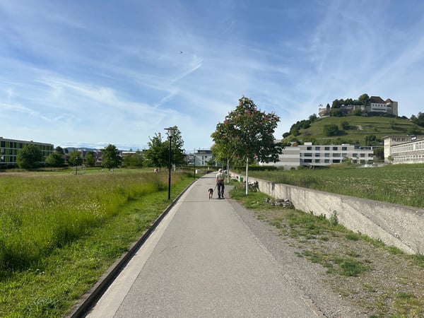 Attraktive 3.5-Zimmer-Wohnung im Eigentumsstandard, nahe Schloss Lenzburg 2