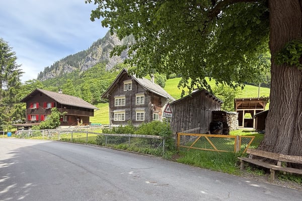 Charmantes Berghaus aus dem Jahr 1890 an idyllischer Lage in Weisstannen 2