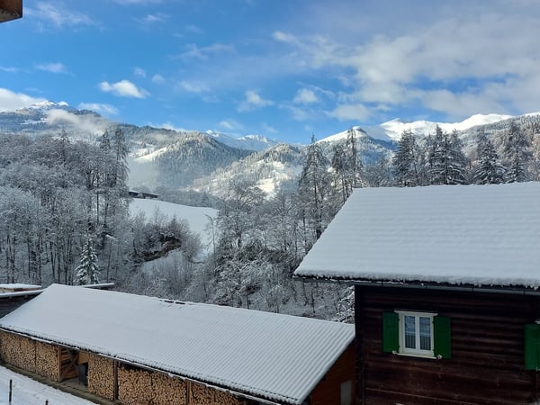 Doppel Einfamilienhaushälte in Schiers- Lunden mit Garage und Terrasse 4