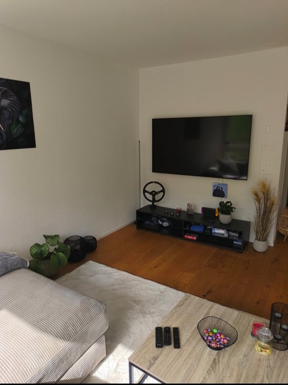 Moderne 2.5-Zimmer-Wohnung in Birrwil – Natur, Komfort und beste Lage direkt am Hallwilersee 4