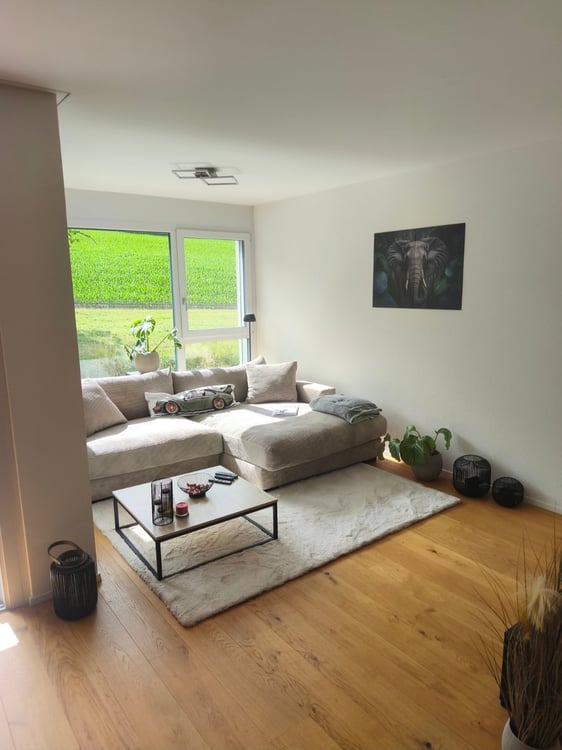 Moderne 2.5-Zimmer-Wohnung in Birrwil – Natur, Komfort und beste Lage direkt am Hallwilersee 3