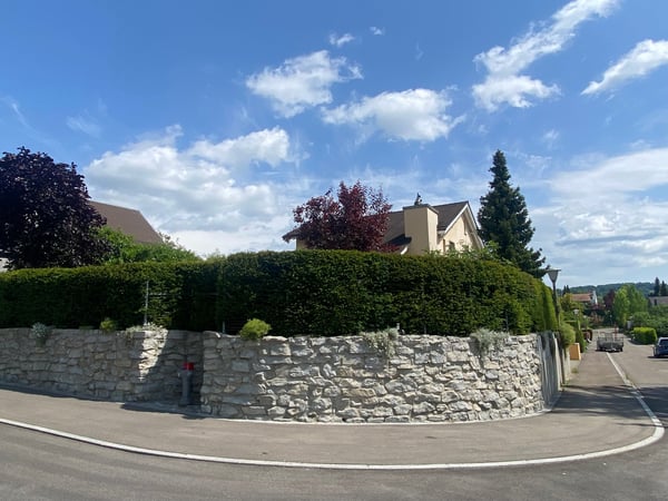 9 Zimmer Einfamilienhaus für grosse Ansprüche / zur Miete 2
