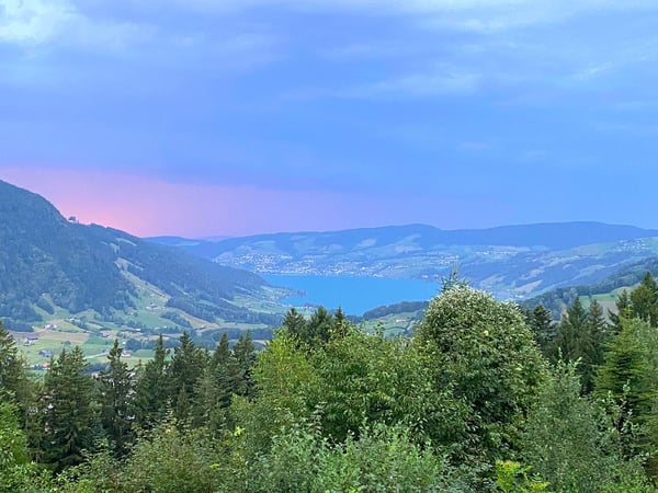 Stilvoll kernsaniertes 3.5-Zimmer-Chalet mit traumhafter Berg- und Seesicht am Mostelberg in Sattel 14