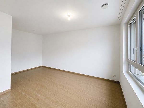 À louer – Appartement neuf 45 m² avec vue sur les Alpes et espace bien-être 3